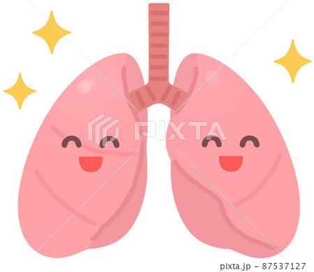 元気な肺 87537127