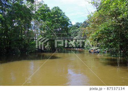 マレーシア　ボルネオ島の世界遺産　グヌン・ムル国立公園 87537134