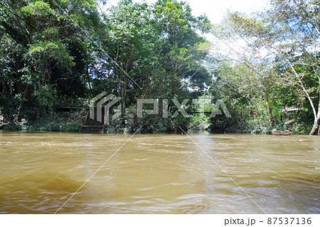 マレーシア　ボルネオ島の世界遺産　グヌン・ムル国立公園 87537136