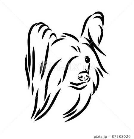 Decorative portrait of standing in profile Chinese Crested Dog, vector isolated illustration in black color on white background 87538026