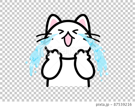 滝のような涙を流して大泣きする猫 87539216