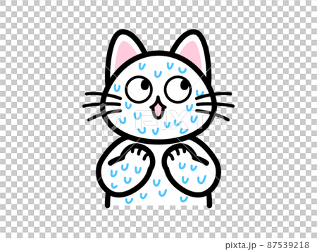 A cat that sweats like a waterfall and is impatient 87539218