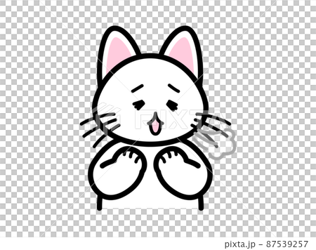 Cat sighing 87539257
