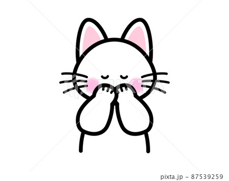 もじもじする猫 87539259