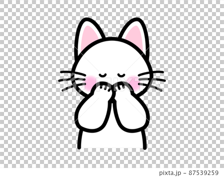 もじもじする猫 87539259