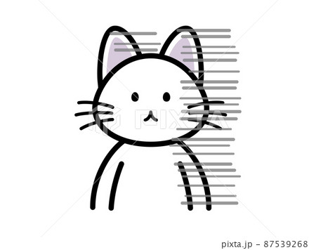 ショックで呆然としている猫 ショックで呆然としている猫 87539268