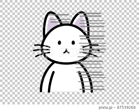 ショックで呆然としている猫 ショックで呆然としている猫 87539268