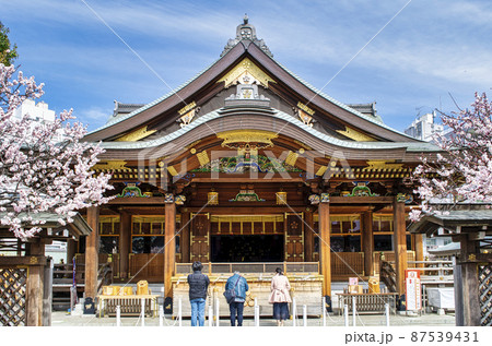 東京都 湯島天神 拝殿 梅まつり 東京都 湯島天神 拝殿 梅まつり 87539431