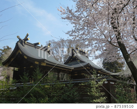鷲宮神社本殿 鷲宮神社本殿 87539510