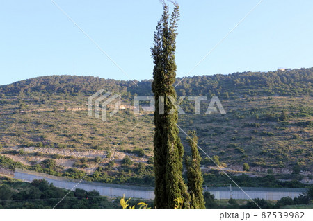 Summer landscape in the mountains in the north of the State of Israel 87539982