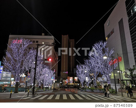 JR大井町駅前 白くライトアップされた街路樹 JR大井町駅前 白くライトアップされた街路樹 87540389
