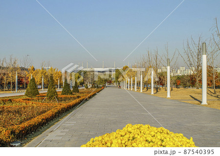 ワールドカップ公園 公園 花 87540395