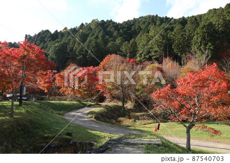 紅葉に染まる山のイメージ 87540703