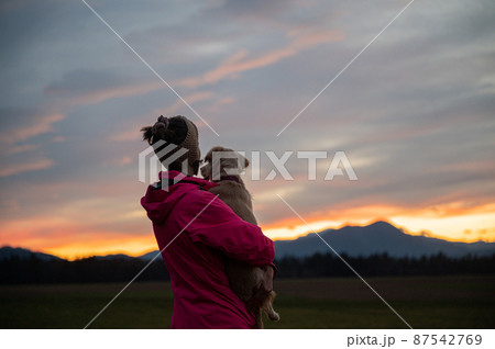 Woman holding her dog looking at beautiful sunset sky Woman holding her dog looking at beautiful sunset sky 87542769