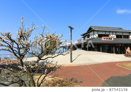 【香川県】快晴下の屋島展望台(獅子の霊巌) 【香川県】快晴下の屋島展望台(獅子の霊巌) 87543156