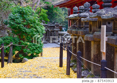 奈良 春日大社の石燈籠 87543913