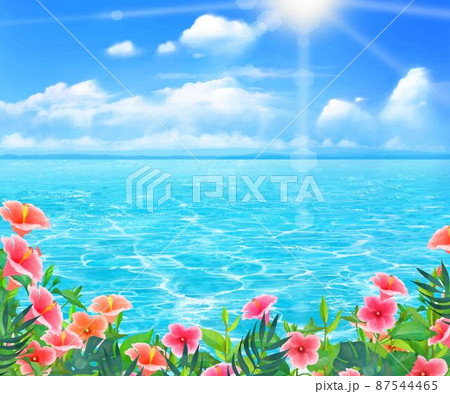太陽の光差し込む青い空の下、美しい海沿いに夏の葉っぱとハイビスカスの咲く夏のおしゃれフレーム背景素材 87544465