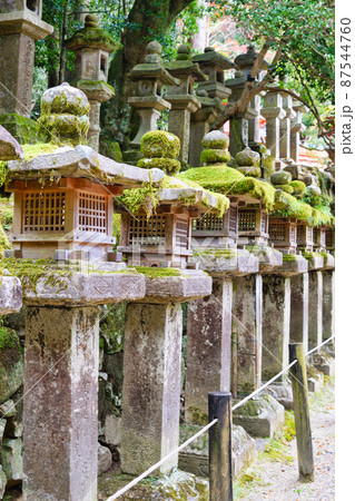 奈良 春日大社の石燈籠 奈良 春日大社の石燈籠 87544760