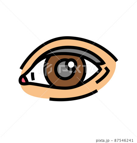 eye face color icon vector illustration 87546241