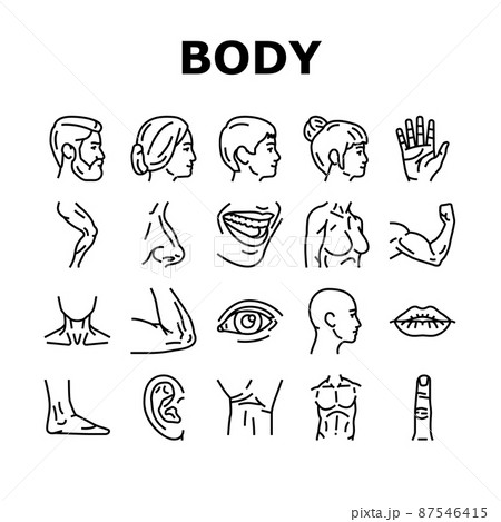 Body And Facial People Parts Icons Set Vector Body And Facial People Parts Icons Set Vector 87546415
