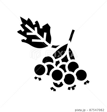 hawthorn berry glyph icon vector illustration 87547062