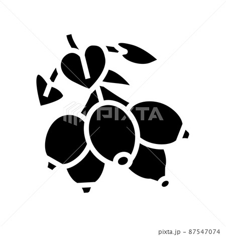 dogrose berry glyph icon vector illustration 87547074