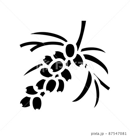 buckthorn berry tree branch glyph icon vector illustration buckthorn berry tree branch glyph icon vector illustration 87547081