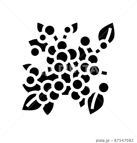 huckleberry plant branch glyph icon vector illustration 87547082