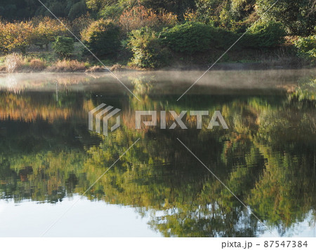 ため池の映り込みときり ため池の映り込みときり 87547384
