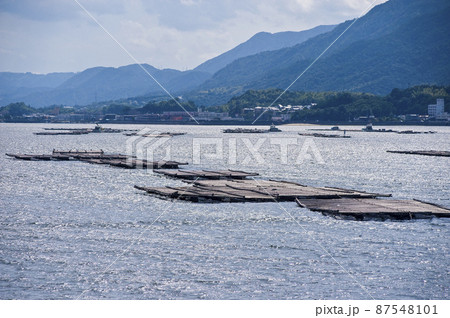 カキ筏　宮島 87548101