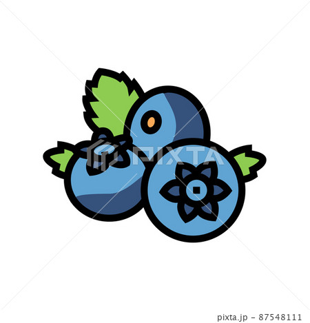 blueberry berry color icon vector illustration 87548111