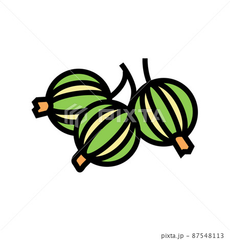 gooseberry juicy berry color icon vector illustration 87548113