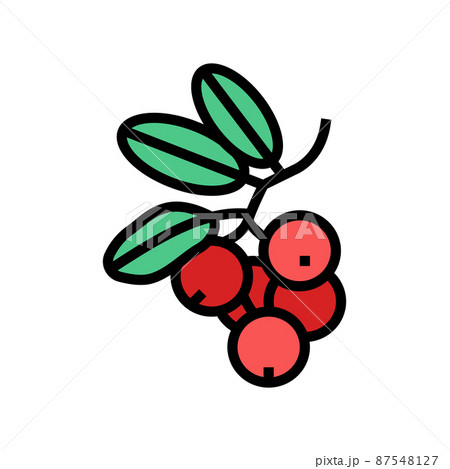 lingonberry berry color icon vector illustration 87548127