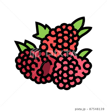 raspberry berry color icon vector illustration 87548139