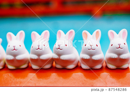 岡﨑神社のうさぎみくじ（京都） 87548286