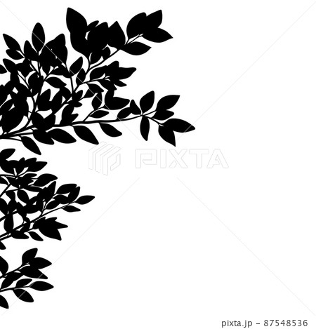 樹木・植物の枝と葉っぱのシルエット ラスター素材 樹木・植物の枝と葉っぱのシルエット ラスター素材 87548536