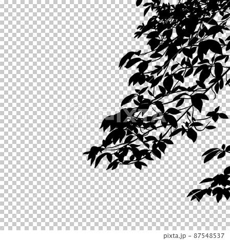 樹木・植物の枝と葉っぱのシルエット　ラスター素材 87548537