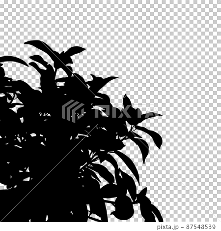 樹/植物枝葉剪影光柵材料 樹/植物枝葉剪影光柵材料 87548539