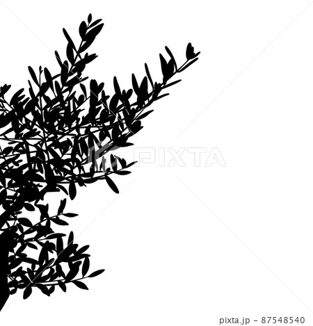 樹木・植物の枝と葉っぱのシルエット　ラスター素材 87548540