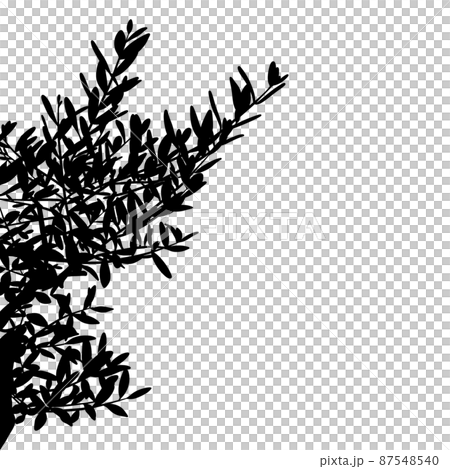 樹木・植物の枝と葉っぱのシルエット　ラスター素材 87548540