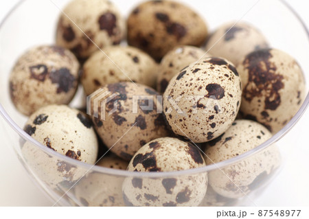 うずらの卵 87548977