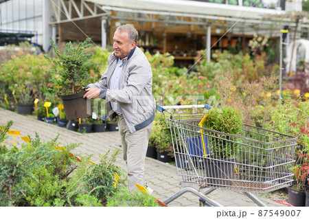 Middle aged man shopping in garden center Middle aged man shopping in garden center 87549007