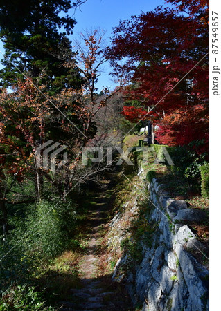 観音寺城008 87549857