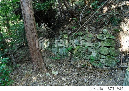 観音寺城015 観音寺城015 87549864