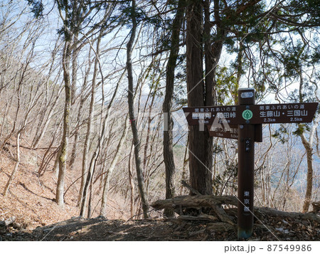 神奈川県 生藤山 神奈川県 生藤山 87549986