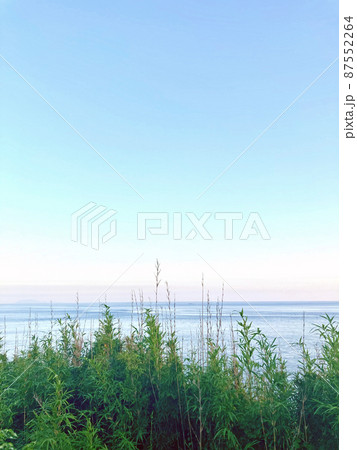 夏の空のグラデーションと海と草木 87552264