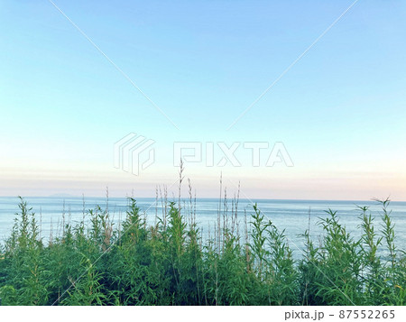 夏の空のグラデーションと海と草木 87552265