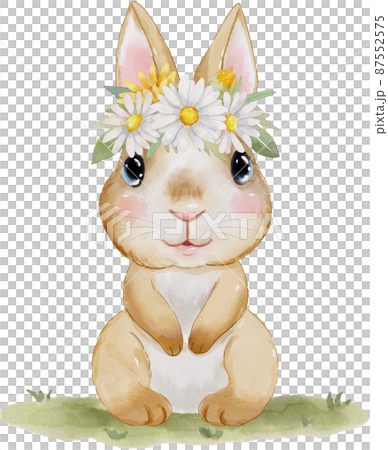 watercolor rabbit illustration 87552575