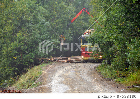 Loading a timber truck in the forest Loading a timber truck in the forest 87553180