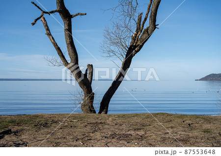 A beautiful lake view in the morning. A mist over the blue lake A beautiful lake view in the morning. A mist over the blue lake 87553648